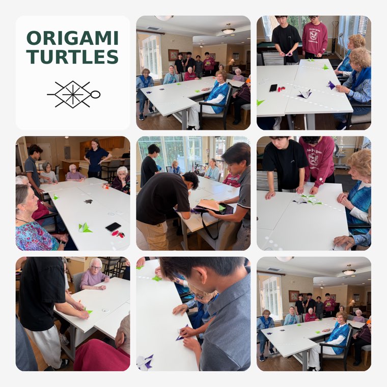Photos from Turtles